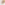 Glitter Wedding Rumors