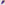 Dip Acrylic Powder Purple Everyrthing