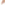 Shell Buzzer, Peach Pearl With Gold Shimmer, 1/3 oz