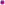 Zigged When I Shoulda Zagged, Magenta, 10ml