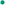 Instant Vaca, Bright Jade Green, 10ml