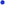 15g, Sports Fanatic, Dark Periwinkle Blue