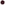 15g, Brave Face, Deep Burgundy Red
