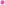30g Silk Peony