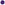 Wild Fig, Dark Purple, 1/3 oz